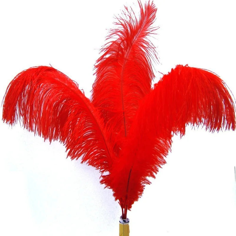 Red Ostrich Feather Plumes 15-70cm/6-28" Big Feathers for Crafts Carnaval Holiday Table Centerpiece Decorative Decor for Clothes