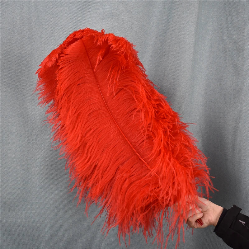 Red Ostrich Feather Plumes 15-70cm/6-28" Big Feathers for Crafts Carnaval Holiday Table Centerpiece Decorative Decor for Clothes
