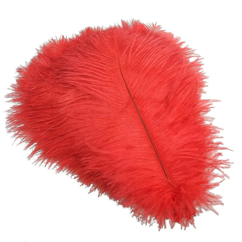 Red Ostrich Feather Plumes 15-70cm/6-28" Big Feathers for Crafts Carnaval Holiday Table Centerpiece Decorative Decor for Clothes