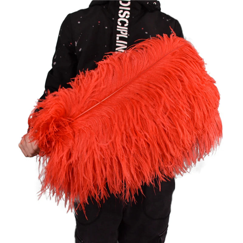 Red Ostrich Feather Plumes 15-70cm/6-28" Big Feathers for Crafts Carnaval Holiday Table Centerpiece Decorative Decor for Clothes