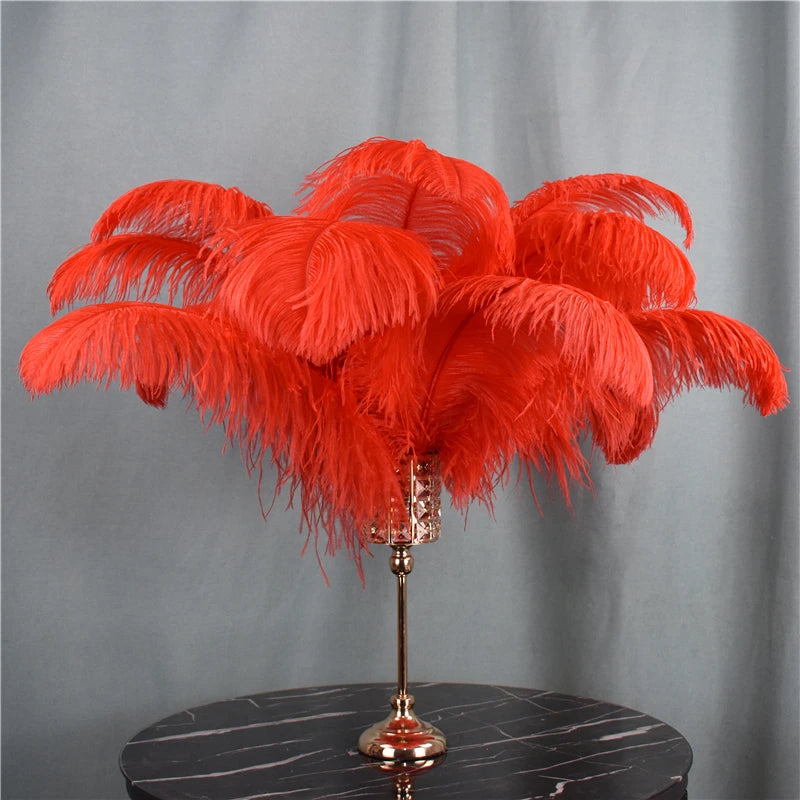 Red Ostrich Feather Plumes 15-70cm/6-28" Big Feathers for Crafts Carnaval Holiday Table Centerpiece Decorative Decor for Clothes