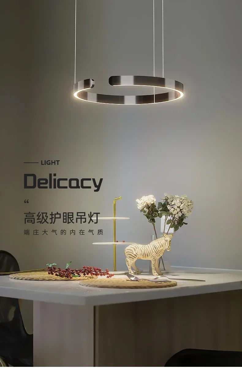 Modern Salon Design Ring Ceiling Chandelier Eye Protecting LED Lamp Bedroom Dining Room Study Pendant Lighting Fixture