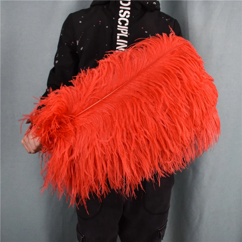 Red Ostrich Feather Plumes 15-70cm/6-28" Big Feathers for Crafts Carnaval Holiday Table Centerpiece Decorative Decor for Clothes