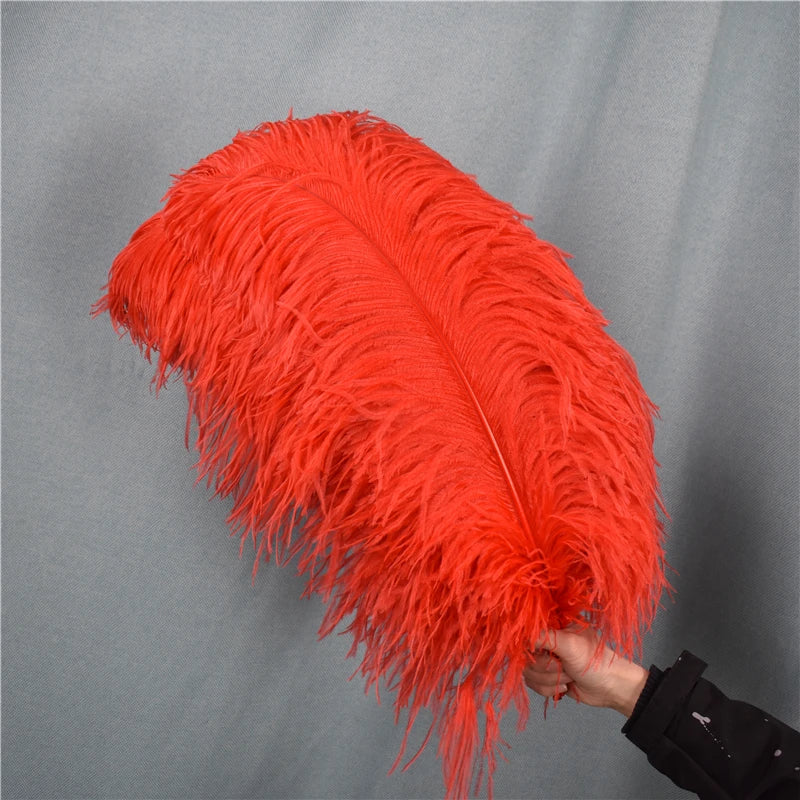 Red Ostrich Feather Plumes 15-70cm/6-28" Big Feathers for Crafts Carnaval Holiday Table Centerpiece Decorative Decor for Clothes